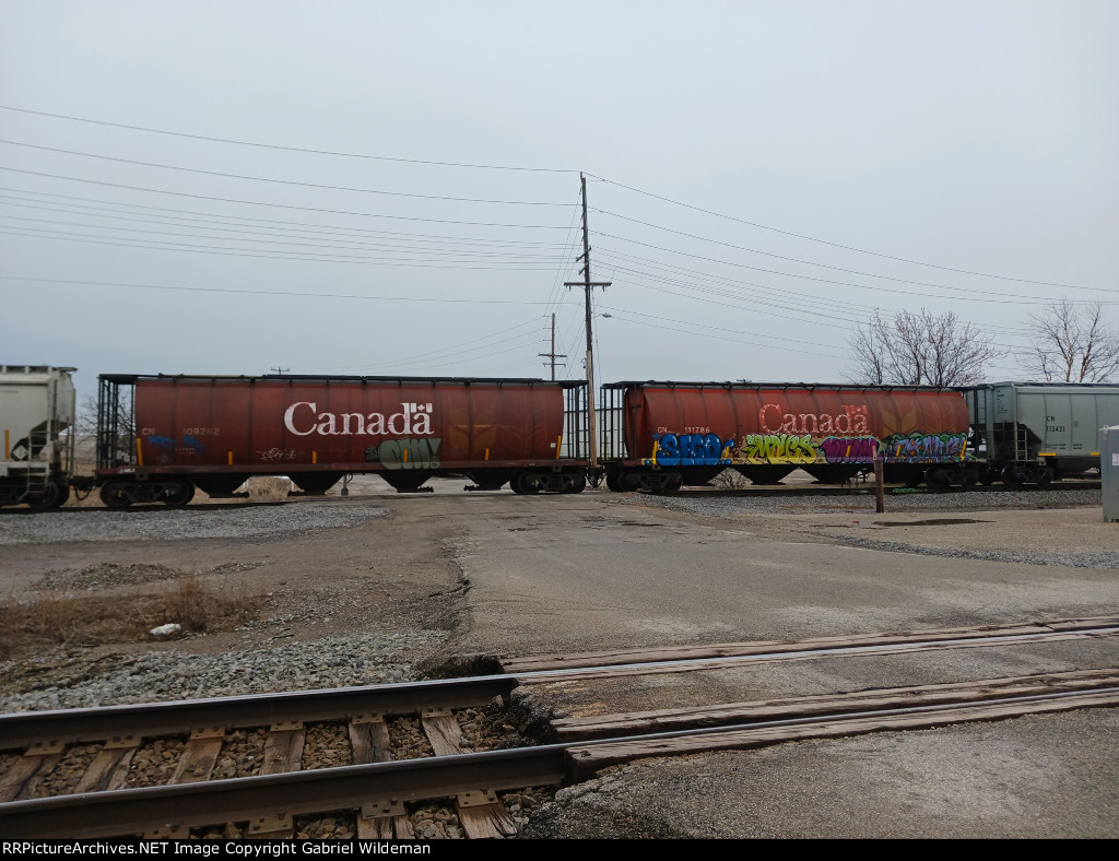 CN 109262 & CN 111786